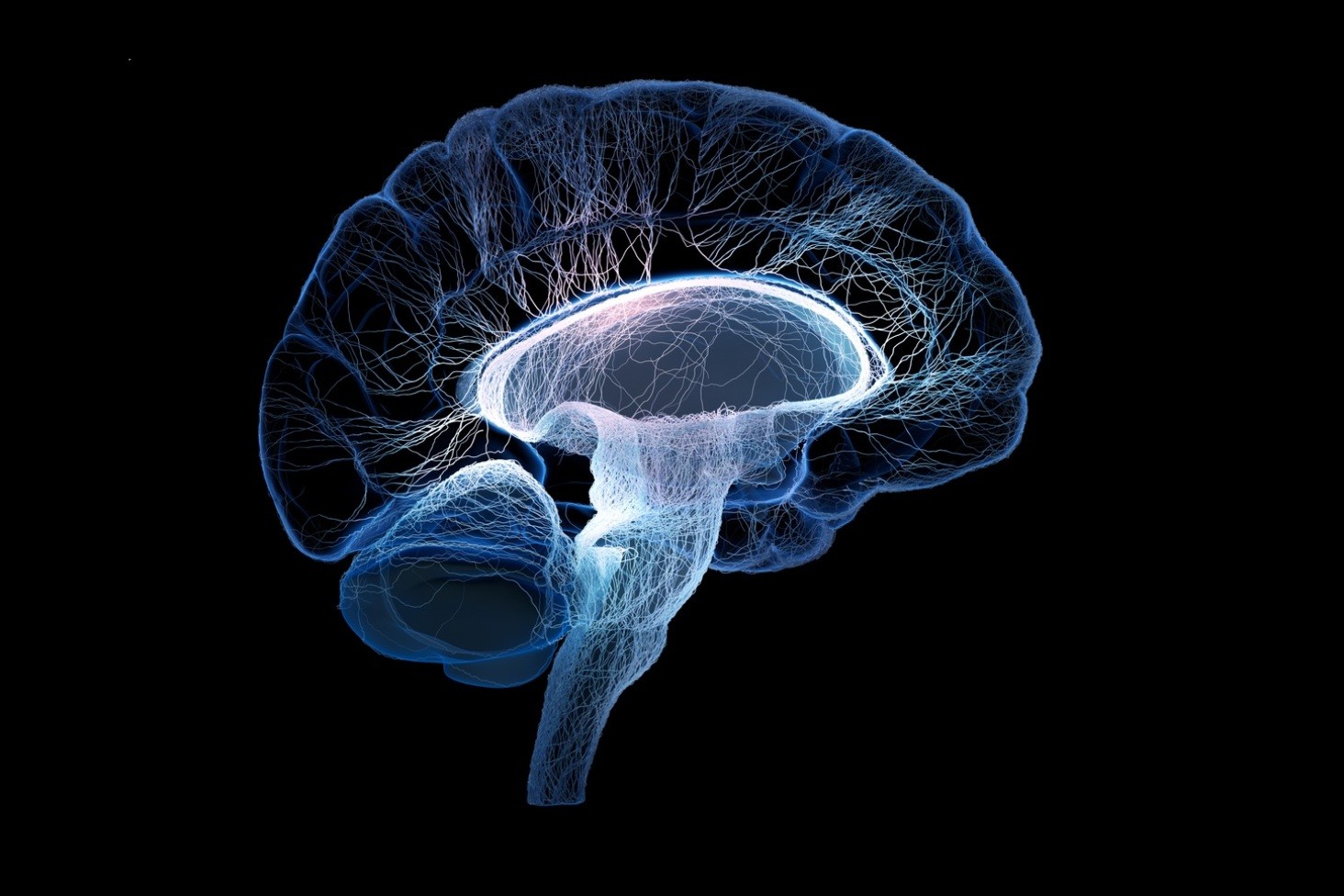 Mri Brain Scan Of Children With Tourettes Syndrome May Provide Clues