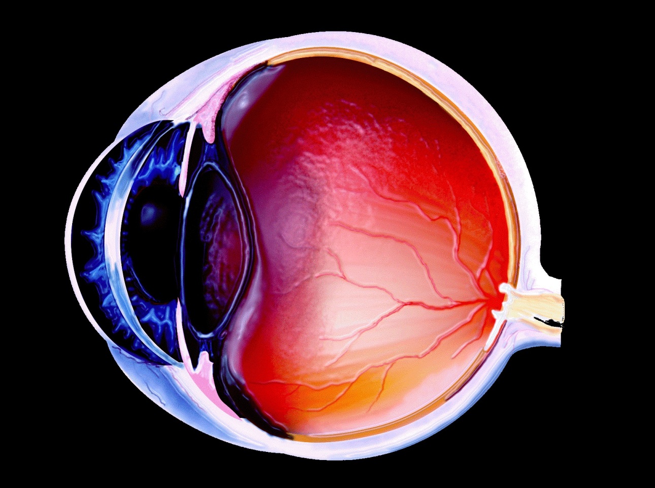 Crystal retinal