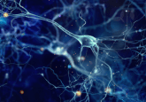 Neuromodulation and pain management