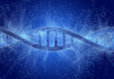 This is a graphical illustration of a DNA helix strand.