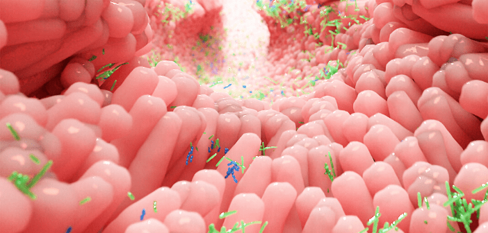 This is an image depicting the gut microbiome in the gastrointestinal tract.