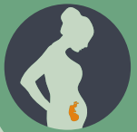 pregnancy in MS