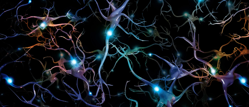 Repurposed drug may treat motor neuron disease- Neuro Central