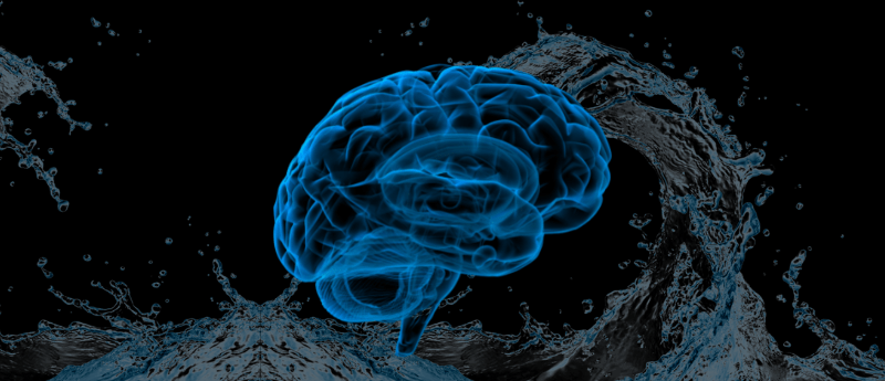 cerebrospinal fluid