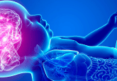 Brain health climate change